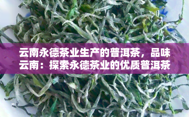 云南永德茶业生产的普洱茶，品味云南：探索永德茶业的优质普洱茶