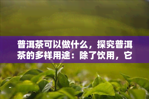 普洱茶可以做什么，探究普洱茶的多样用途：除了饮用，它还能用来做什么？