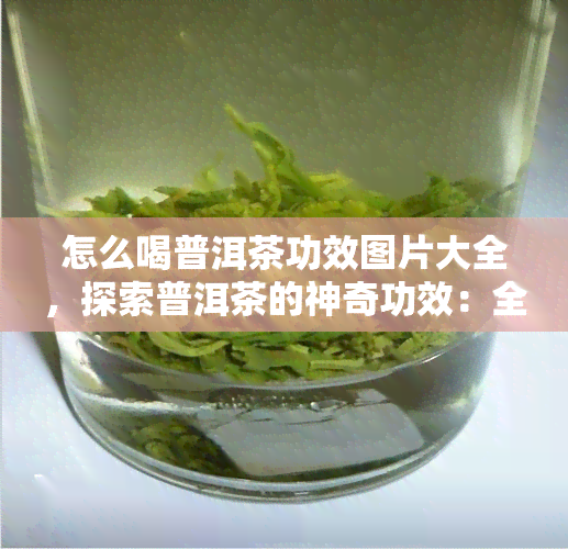 怎么喝普洱茶功效图片大全，探索普洱茶的神奇功效：全图解教你如何正确饮用