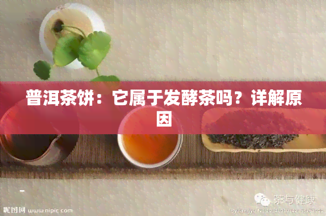 普洱茶饼：它属于发酵茶吗？详解原因