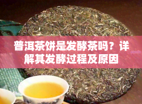 普洱茶饼是发酵茶吗？详解其发酵过程及原因