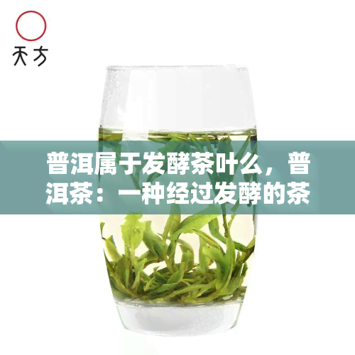 普洱属于发酵茶叶么，普洱茶：一种经过发酵的茶叶吗？