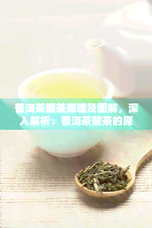 普洱茶醒茶原理及图解，深入解析：普洱茶醒茶的原理与步骤详解（附图）