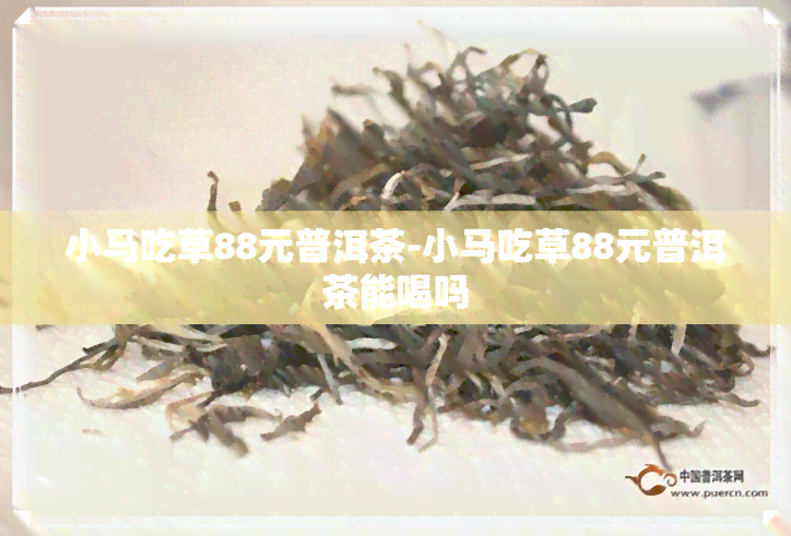 小马吃草88元普洱茶-小马吃草88元普洱茶能喝吗