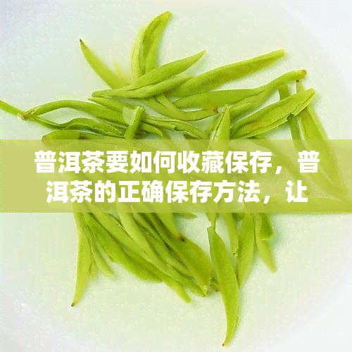 普洱茶要如何收藏保存，普洱茶的正确保存方法，让你品味更好的茶叶