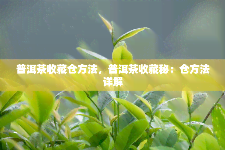 普洱茶收藏仓方法，普洱茶收藏秘：仓方法详解