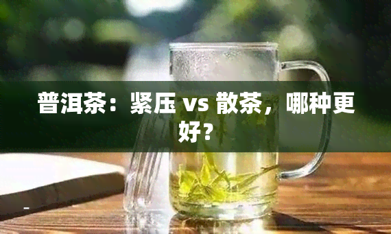 普洱茶：紧压 vs 散茶，哪种更好？