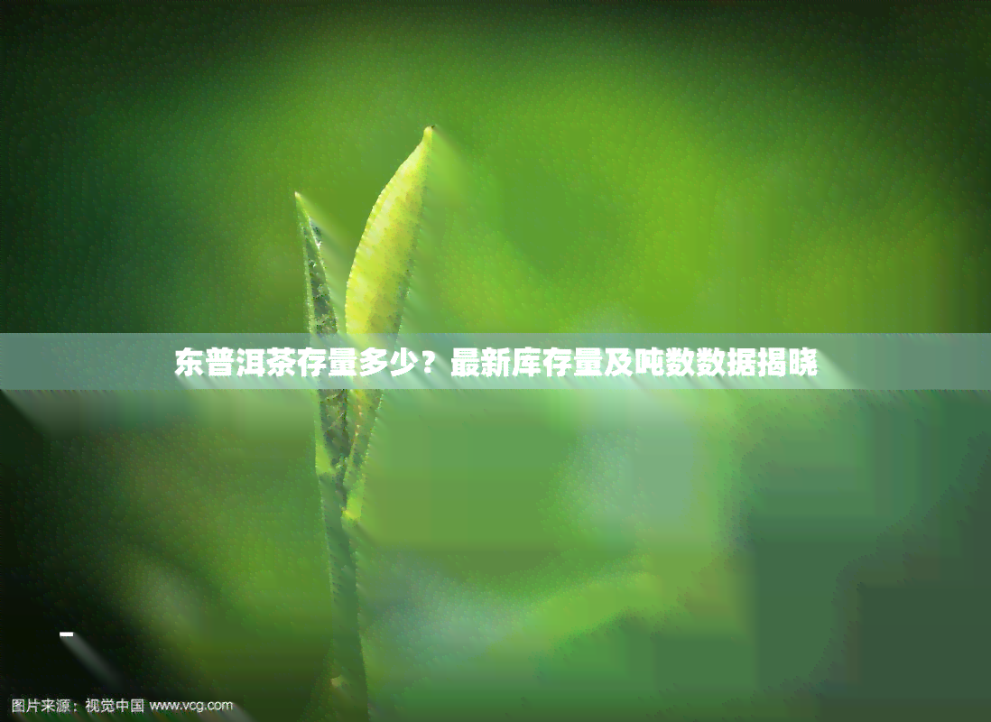 东普洱茶存量多少？最新库存量及吨数数据揭晓