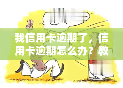 我信用卡逾期了，信用卡逾期怎么办？教你解决逾期问题的五个步骤