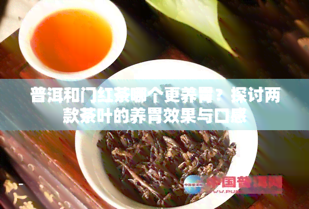 普洱和门红茶哪个更养胃？探讨两款茶叶的养胃效果与口感