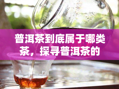 普洱茶到底属于哪类茶，探寻普洱茶的归属：它究竟属于哪一类茶？