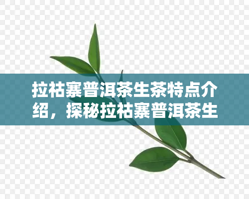 拉祜寨普洱茶生茶特点介绍，探秘拉祜寨普洱茶生茶的独特魅力