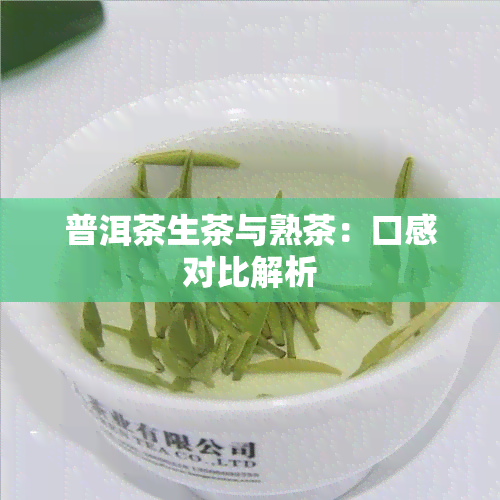 普洱茶生茶与熟茶：口感对比解析