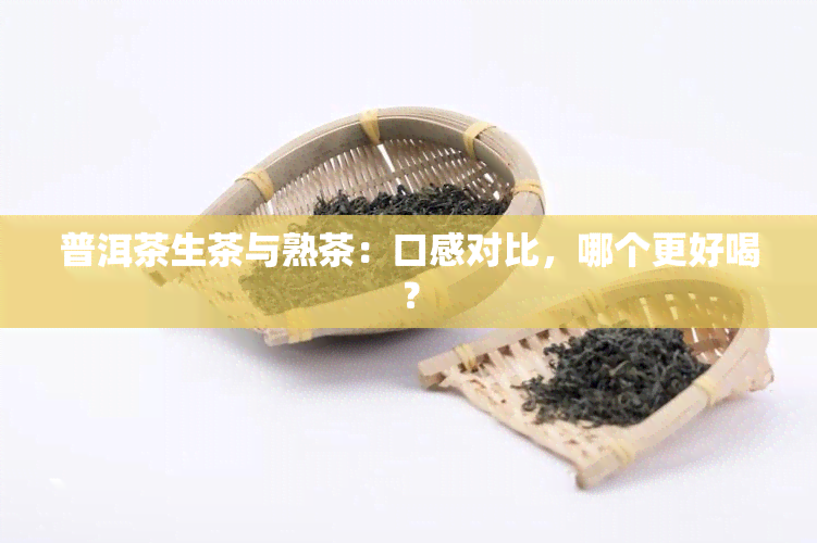 普洱茶生茶与熟茶：口感对比，哪个更好喝？