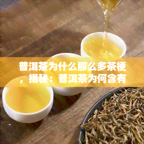 普洱茶为什么那么多茶梗，揭秘：普洱茶为何含有大量茶梗？