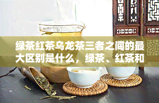 绿茶红茶乌龙茶三者之间的更大区别是什么，绿茶、红茶和乌龙茶：它们之间更大的区别是什么？