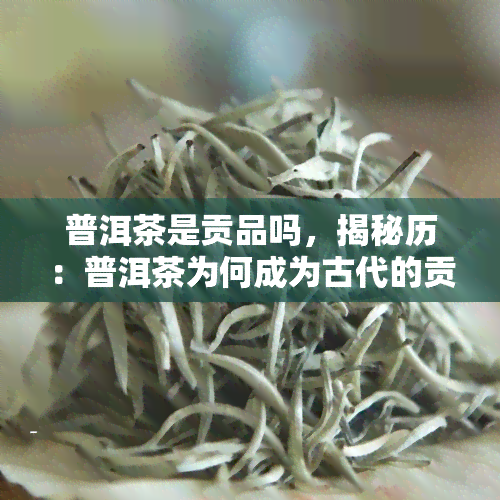 普洱茶是贡品吗，揭秘历：普洱茶为何成为古代的贡品？