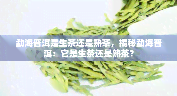 勐海普洱是生茶还是熟茶，揭秘勐海普洱：它是生茶还是熟茶？