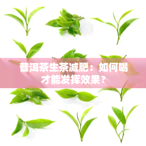 普洱茶生茶减肥：如何喝才能发挥效果？