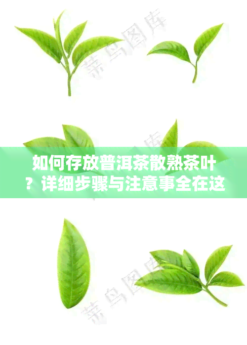 如何存放普洱茶散熟茶叶？详细步骤与注意事全在这里！