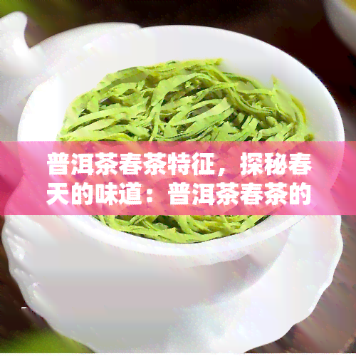 普洱茶春茶特征，探秘春天的味道：普洱茶春茶的特有特征解析