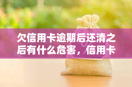 欠信用卡逾期后还清之后有什么危害，信用卡逾期还款后，你需要知道的危害！