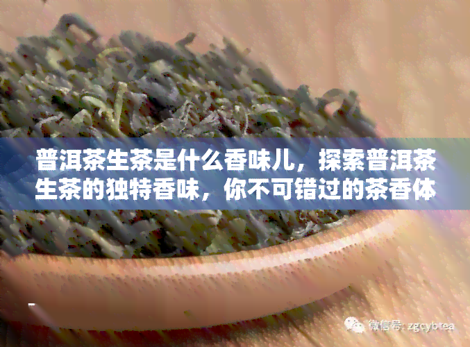 普洱茶生茶是什么香味儿，探索普洱茶生茶的独特香味，你不可错过的茶香体验！