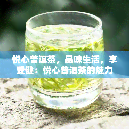 悦心普洱茶，品味生活，享受健：悦心普洱茶的魅力探索