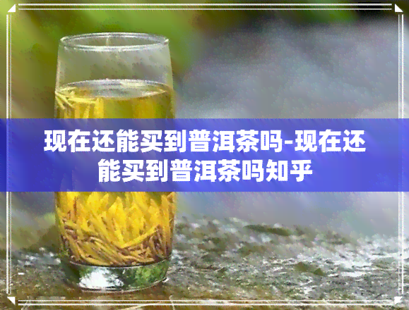 现在还能买到普洱茶吗-现在还能买到普洱茶吗知乎