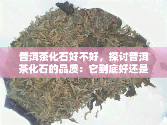 普洱茶化石好不好，探讨普洱茶化石的品质：它到底好还是不好？