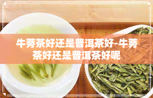 牛蒡茶好还是普洱茶好-牛蒡茶好还是普洱茶好呢