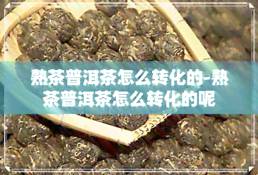 熟茶普洱茶怎么转化的-熟茶普洱茶怎么转化的呢