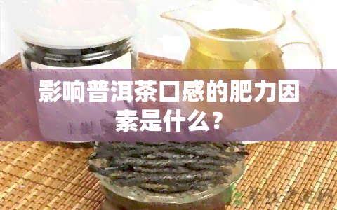 影响普洱茶口感的肥力因素是什么？