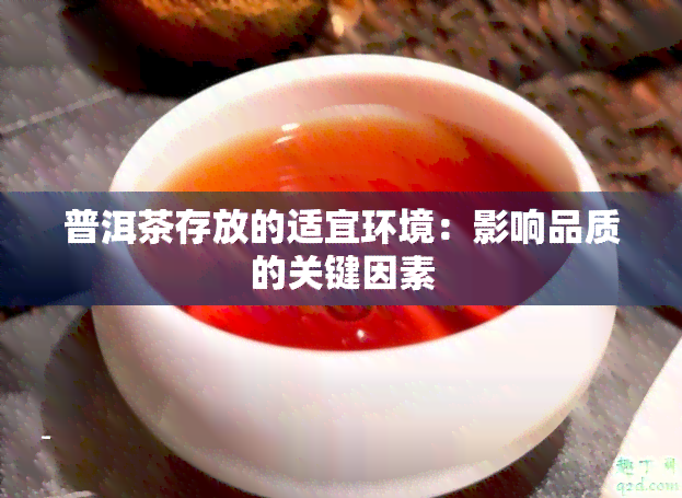 普洱茶存放的适宜环境：影响品质的关键因素