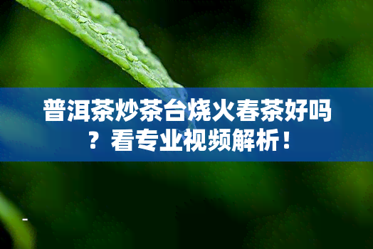 普洱茶炒茶台烧火春茶好吗？看专业视频解析！