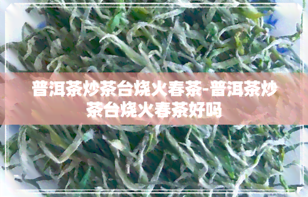 普洱茶炒茶台烧火春茶-普洱茶炒茶台烧火春茶好吗