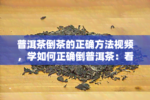 普洱茶倒茶的正确方法视频，学如何正确倒普洱茶：看视频教程！