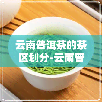 云南普洱茶的茶区划分-云南普洱茶的茶区划分是什么