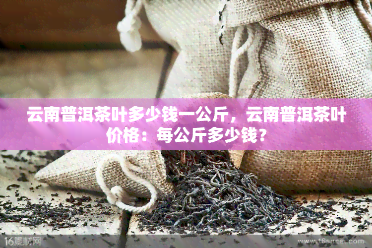 云南普洱茶叶多少钱一公斤，云南普洱茶叶价格：每公斤多少钱？