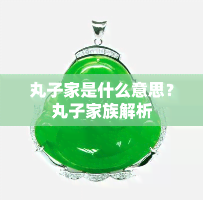 丸子家是什么意思？丸子家族解析