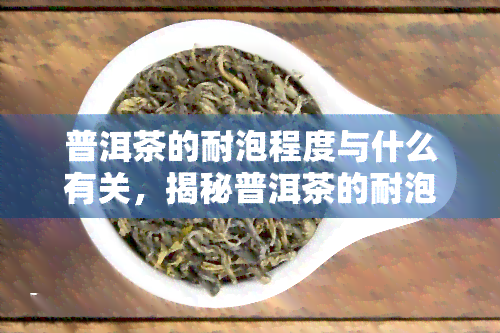 普洱茶的耐泡程度与什么有关，揭秘普洱茶的耐泡程度：影响因素大解析