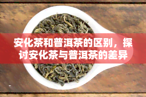 安化茶和普洱茶的区别，探讨安化茶与普洱茶的差异之处