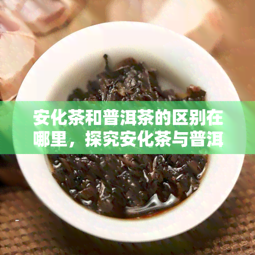 安化茶和普洱茶的区别在哪里，探究安化茶与普洱茶的差异之处