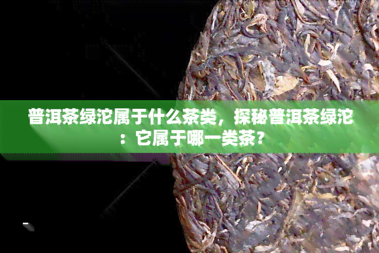 普洱茶绿沱属于什么茶类，探秘普洱茶绿沱：它属于哪一类茶？