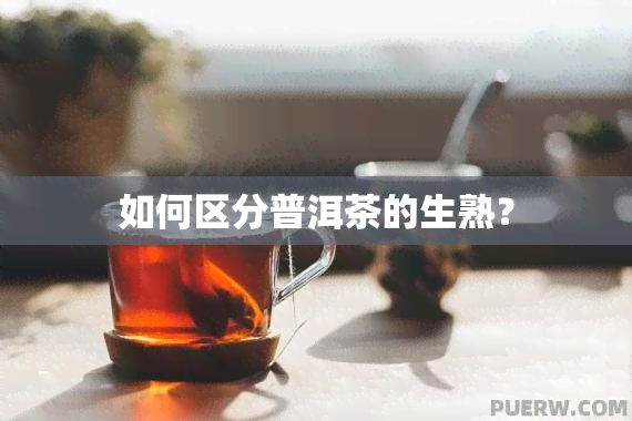 如何区分普洱茶的生熟？