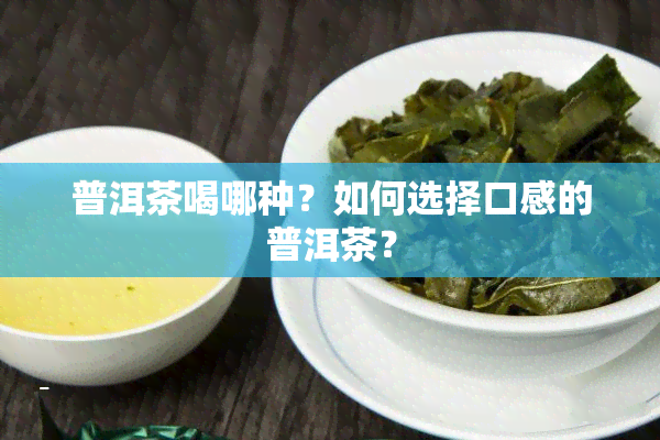 普洱茶喝哪种？如何选择口感的普洱茶？