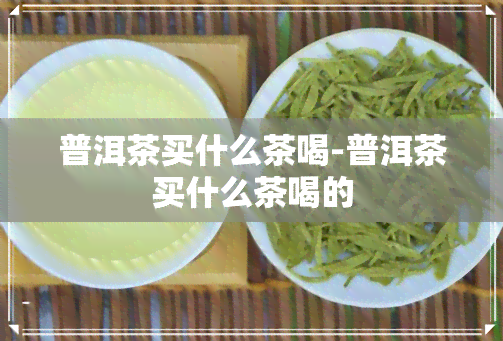 普洱茶买什么茶喝-普洱茶买什么茶喝的