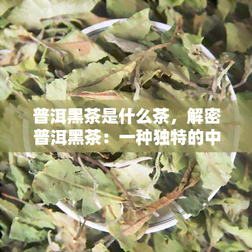 普洱黑茶是什么茶，解密普洱黑茶：一种独特的中国茶叶品种