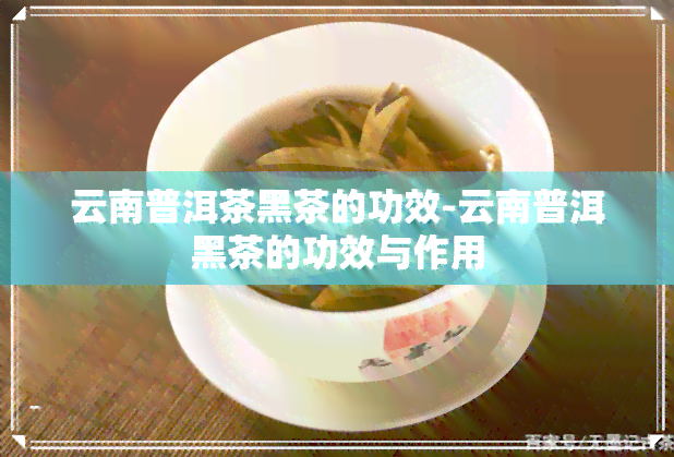 云南普洱茶黑茶的功效-云南普洱黑茶的功效与作用