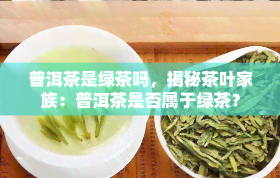 普洱茶是绿茶吗，揭秘茶叶家族：普洱茶是否属于绿茶？